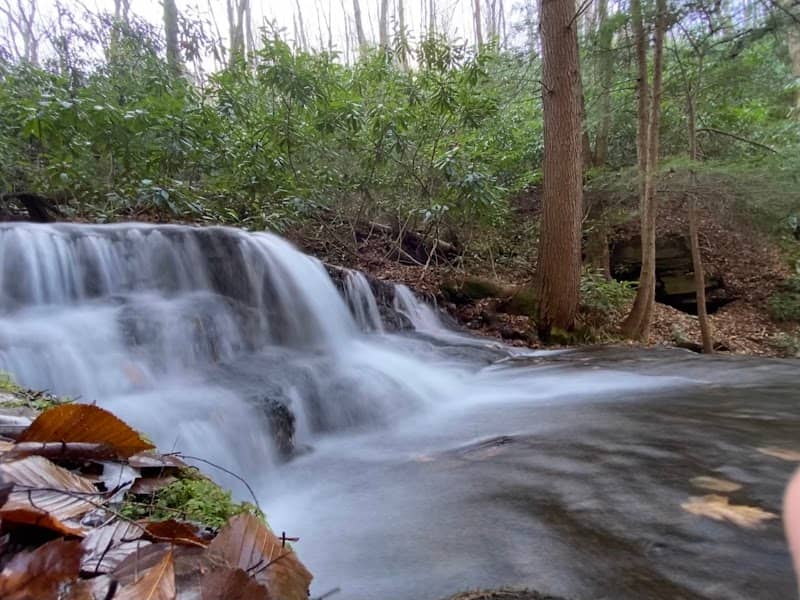 Burns Run Wild Area - Image 1