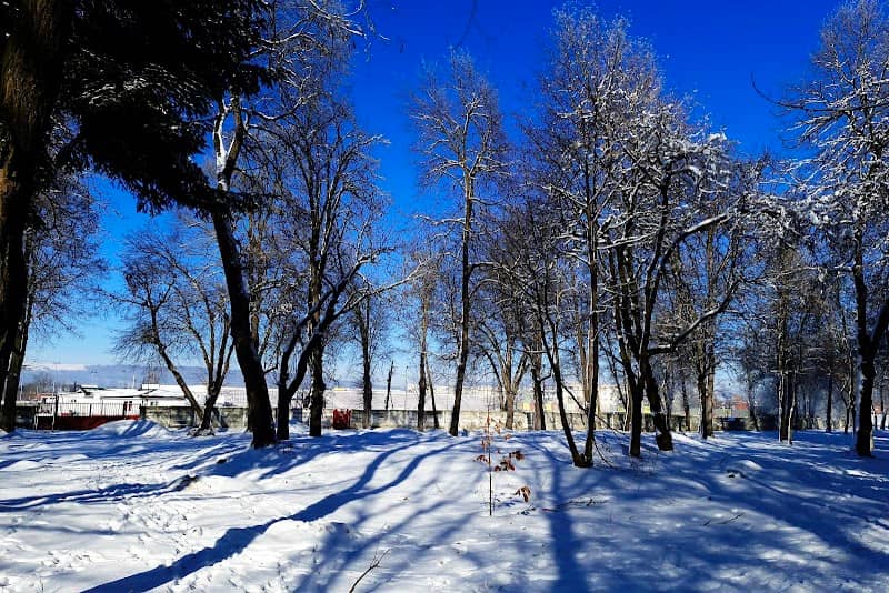 Parcul Regina Maria - Image 2