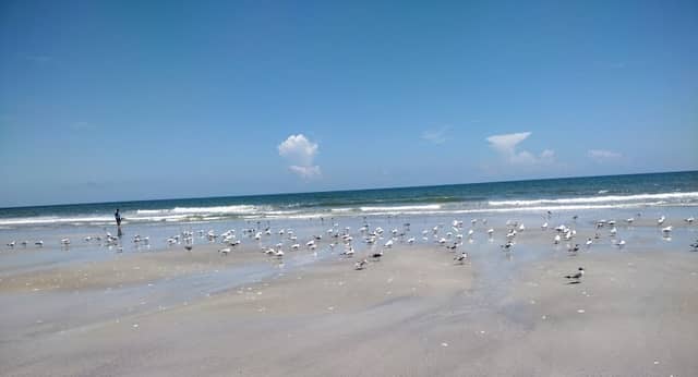 St. Augustine - Image 3