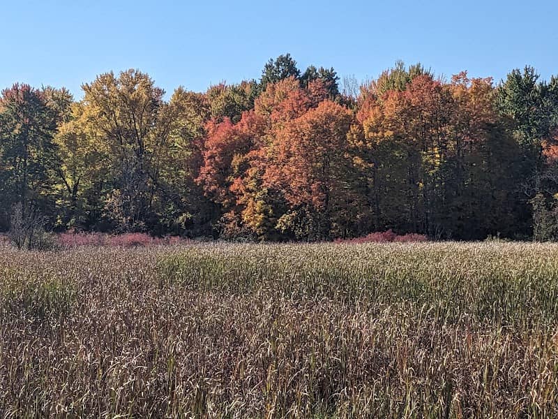 Lake Abram Metropolitan Reservation - Image 2