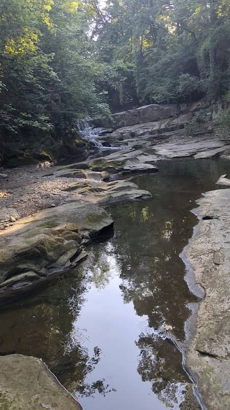 Ravine Falls - Image 2