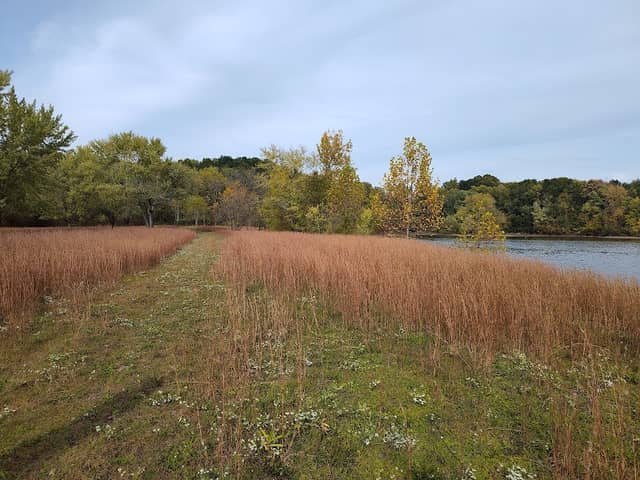 Mercer Recreation Area - Image 1