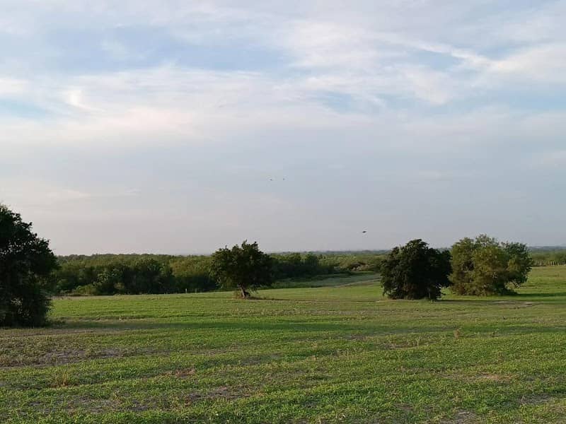 Sullivan City's Fields - Image 1