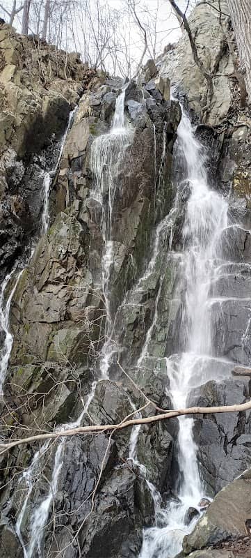 Peanut Leap Cascade - Image 1