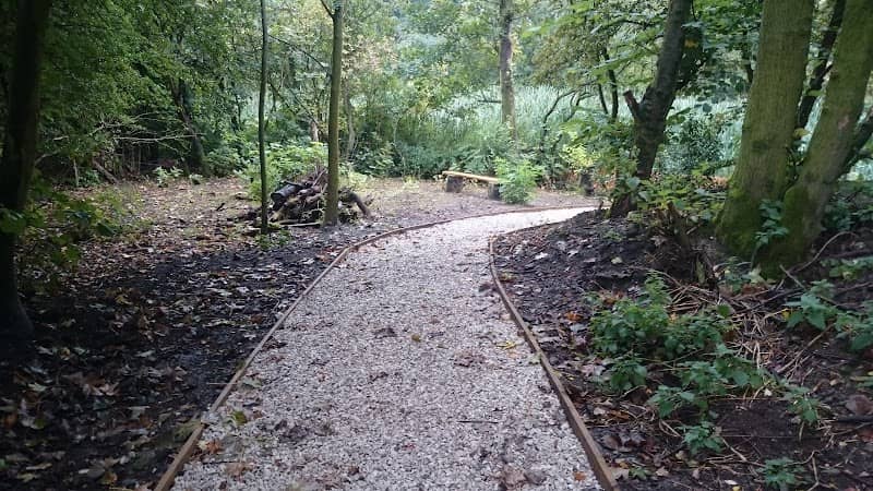Waingroves Woodland - Image 2