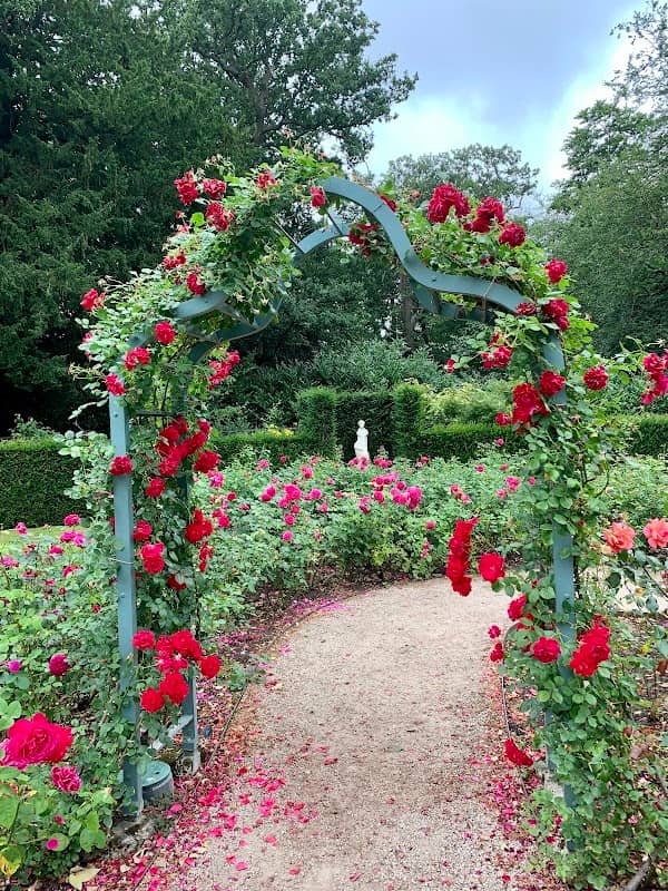 Rose Garden - Image 1