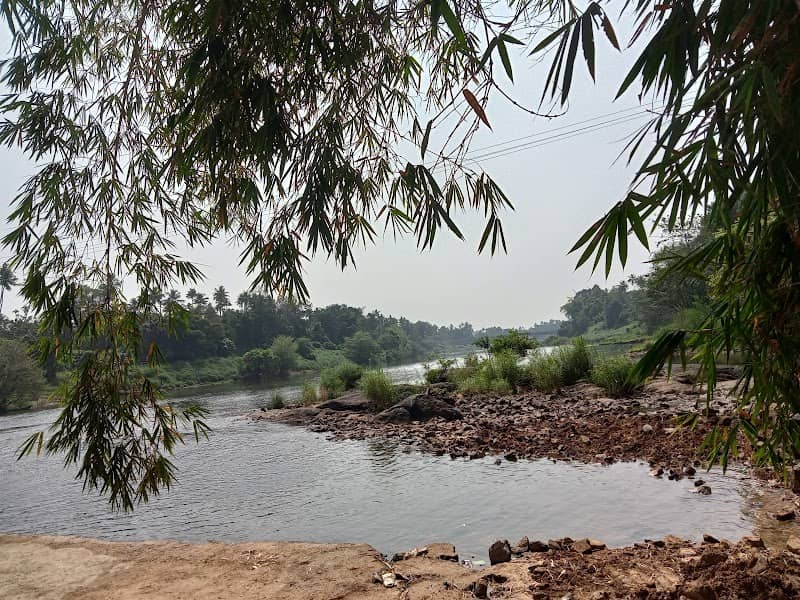 Koodapuzha Thadayana - Image 2