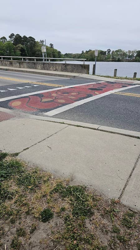 Art Crosswalk by Yeshua Ruch - Image 1