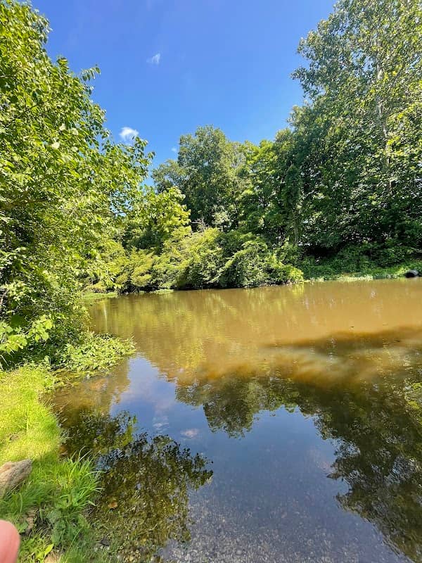 Nottawa Creek Boat Landing - Image 2