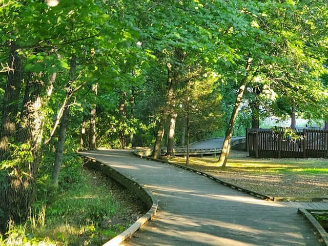 Eagle's Wooden Park - Image 1