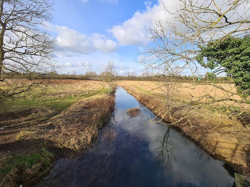 Tove Wetland Pocket Park - Image 2