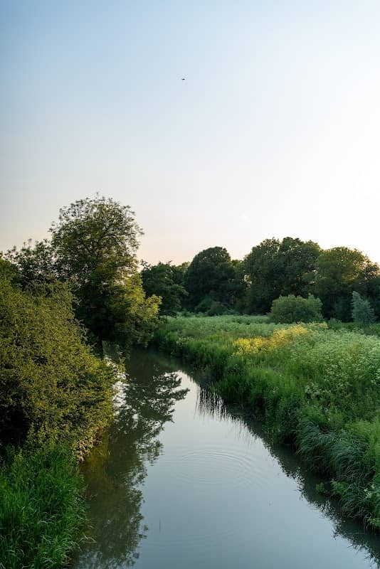 Tove Wetland Pocket Park - Image 1
