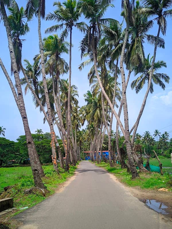 Coconut View Road - Image 1