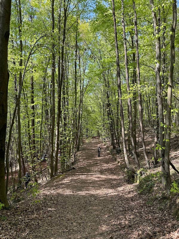 Polonezköy Nature Park - Image 1