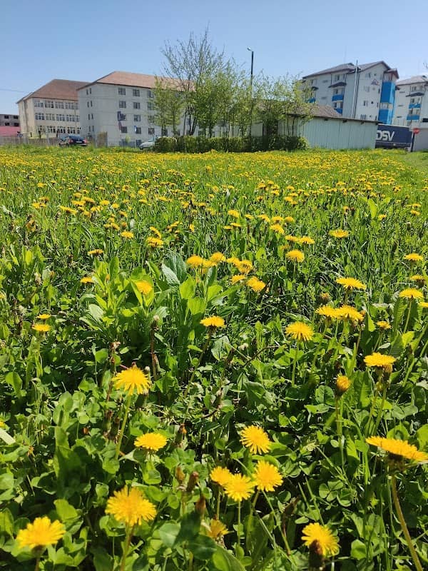 Parc - Image 1