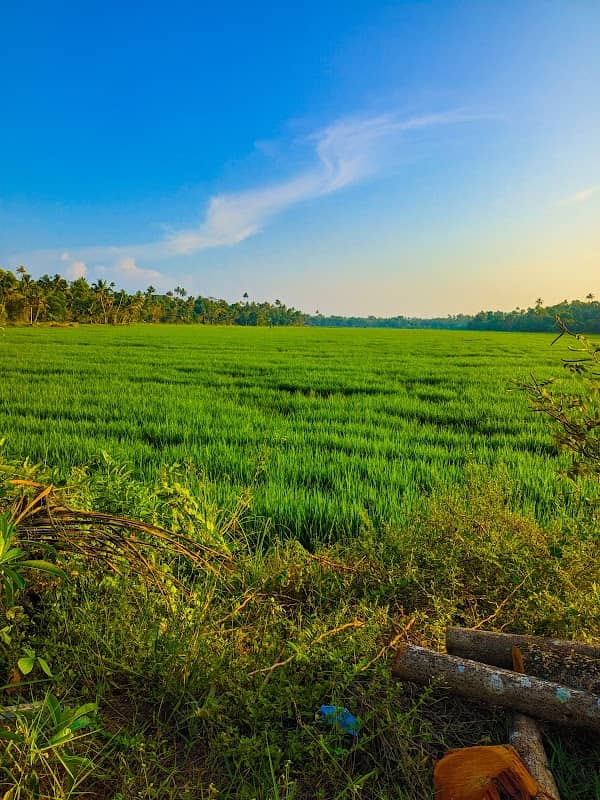Vettackal View Point - Image 1