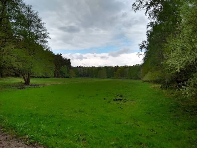 Łąki Piskorzewskie - Image 1