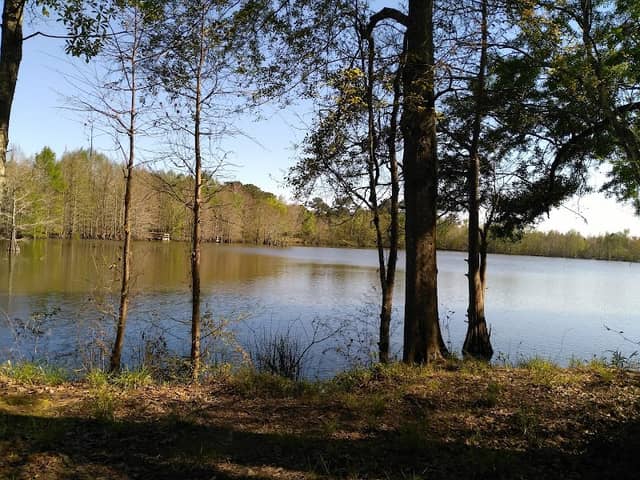 Bogue Chitto National Wildlife Refuge - Image 1