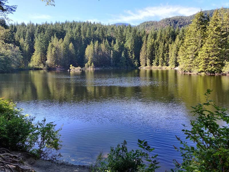Lynn Headwaters Regional Park - Image 3