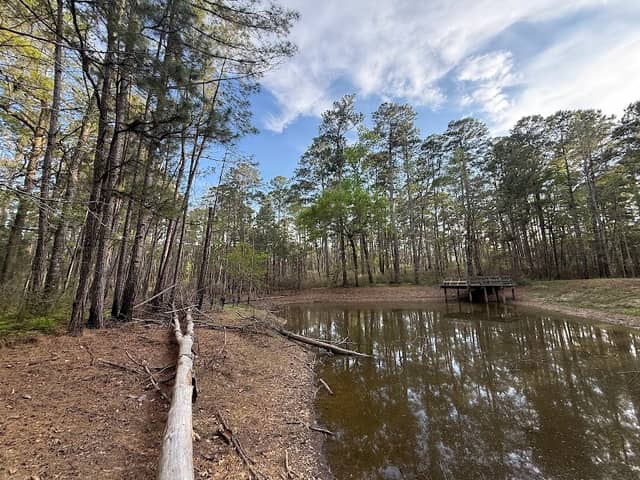 Little Pond Trail - Image 1