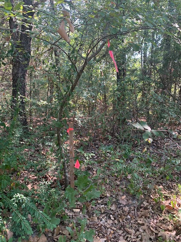 Location of Fairy Shrimp - Image 2