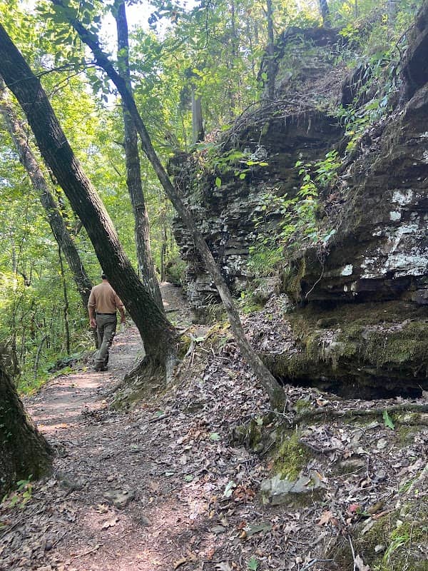 Mossy Bluff National Nature Trail - Image 3