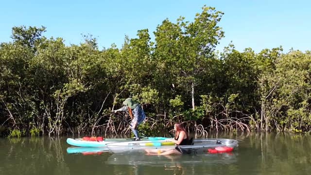 Savvy Paddles Clear Kayaking & Paddleboard Tours - Image 1