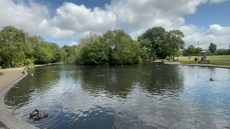 Duck Pond - Image 1