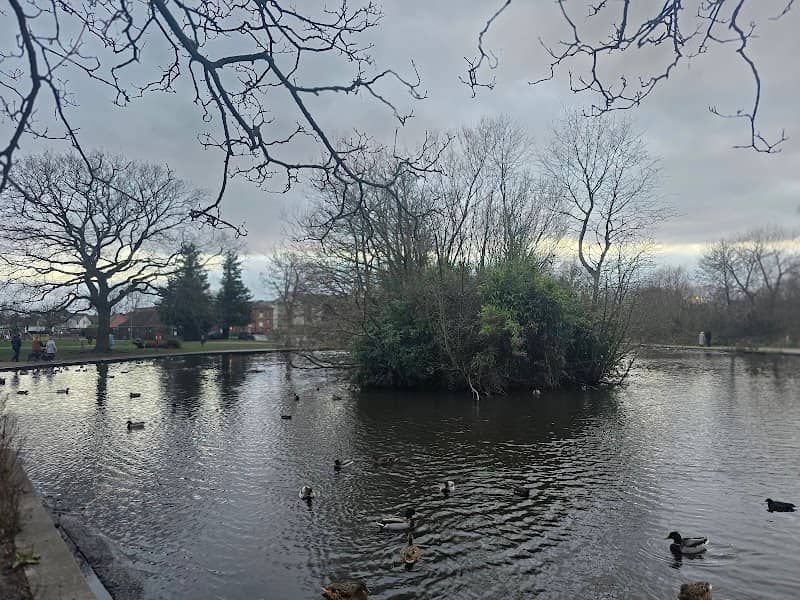 Duck Pond - Image 2