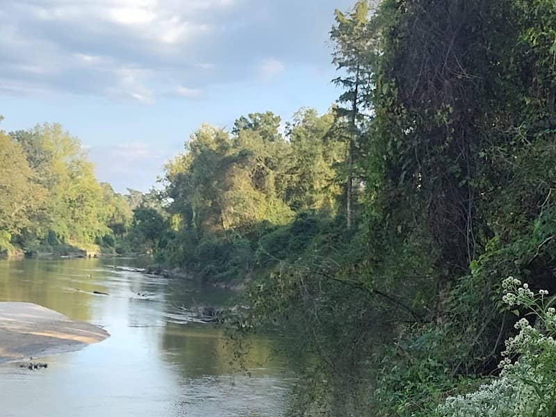 Frenchtown Conservation Area - Image 2