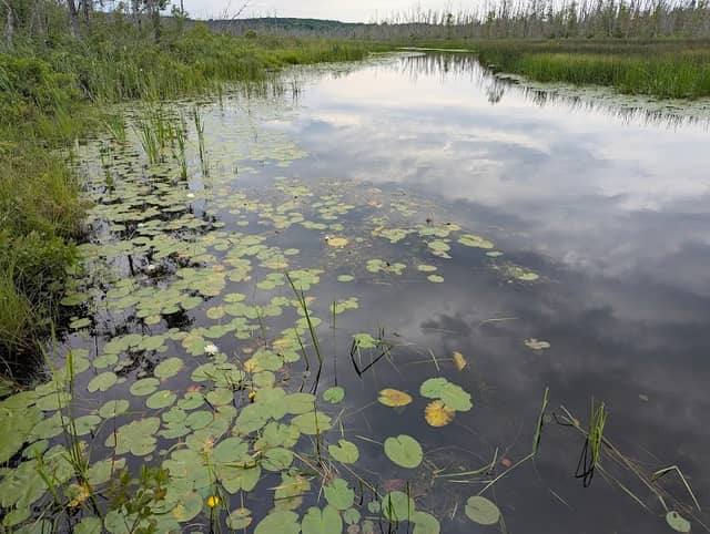 St. Clair Lake-Six Mile Lake Natural Area - Image 1
