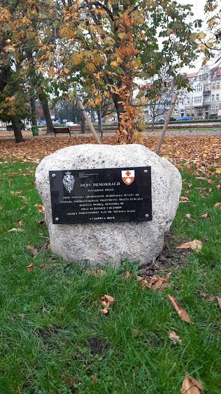 Dęby Demokracji - Image 1