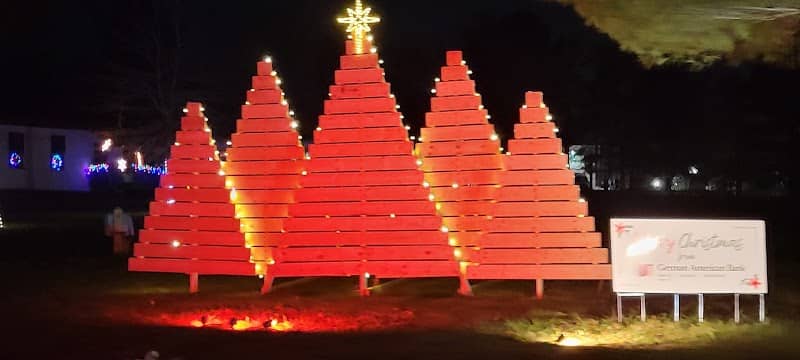 Christmas in the Park - Image 2