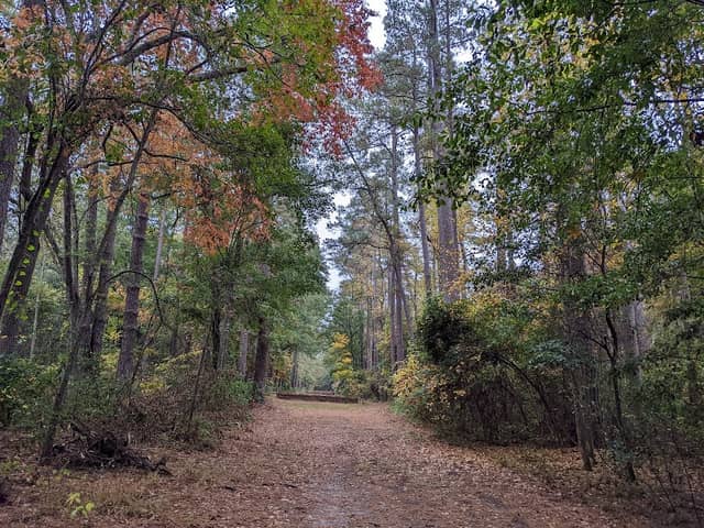 Hitchcock Woods - Image 3