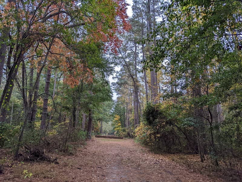 Hitchcock Woods - Image 3