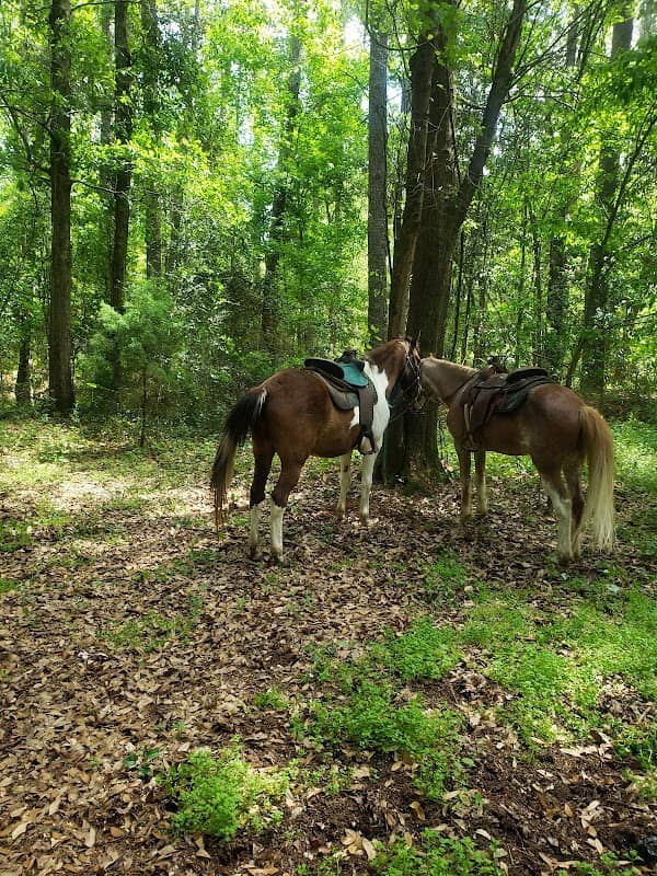 Hitchcock Woods - Image 1