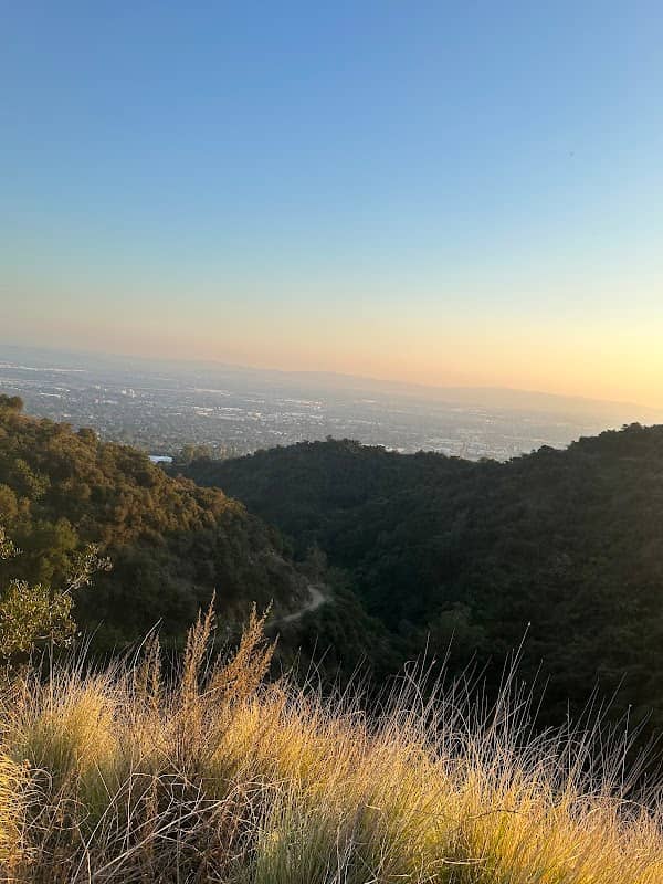 Sunset Bench - Image 1