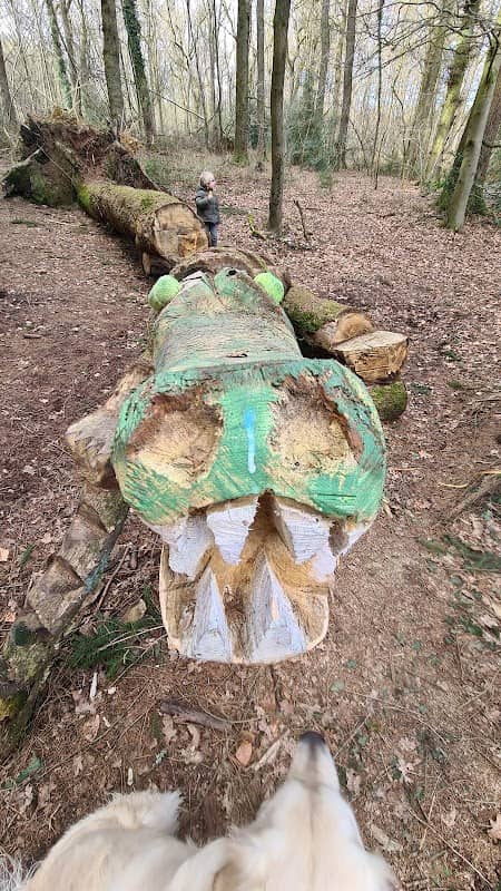 Skulpturenpfad Kelmis - krokodil von Urban Stark - Image 2