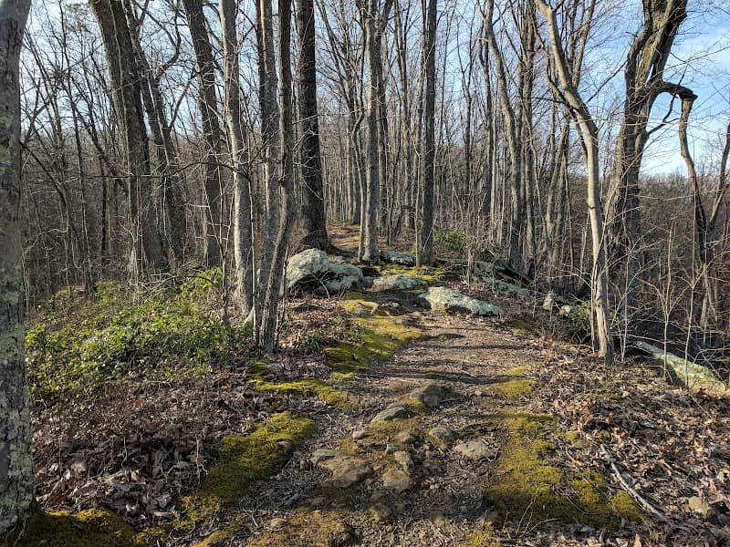 Kanawha State Forest - Image 1