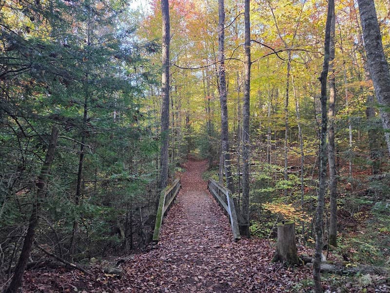 Stephen's Gulch Conservation Area - Image 1