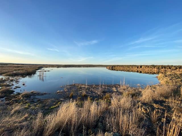 Crab Creek - Image 2
