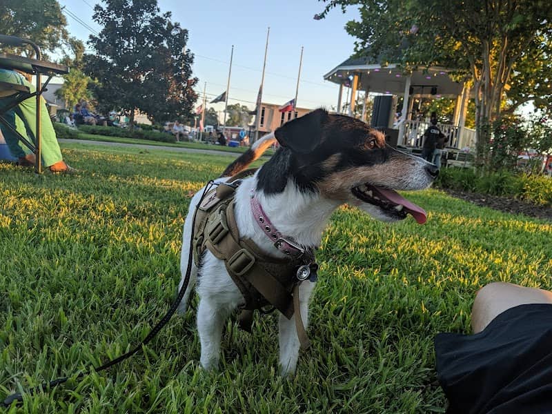 Veterans Park - Image 2