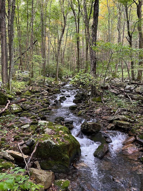 Mill Creek Nature Park Trails - Image 2