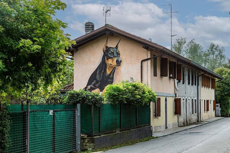 Dobermann gigante di Giulio Masieri - Image 2
