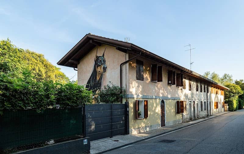 Dobermann gigante di Giulio Masieri - Image 3