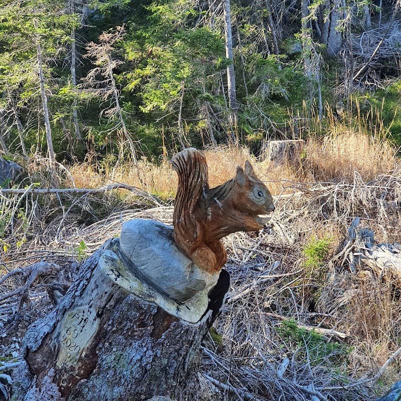 Bosco delle sculture Monte Terzo/ Sculturis M. Tierç - Image 1