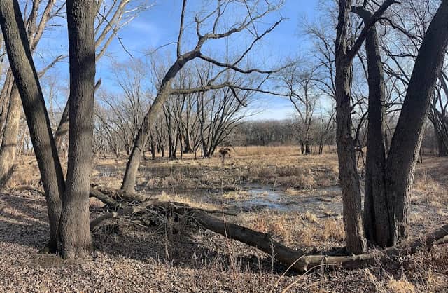 Wilkie Unit - Minnesota Valley National Wildlife Refuge - Image 3
