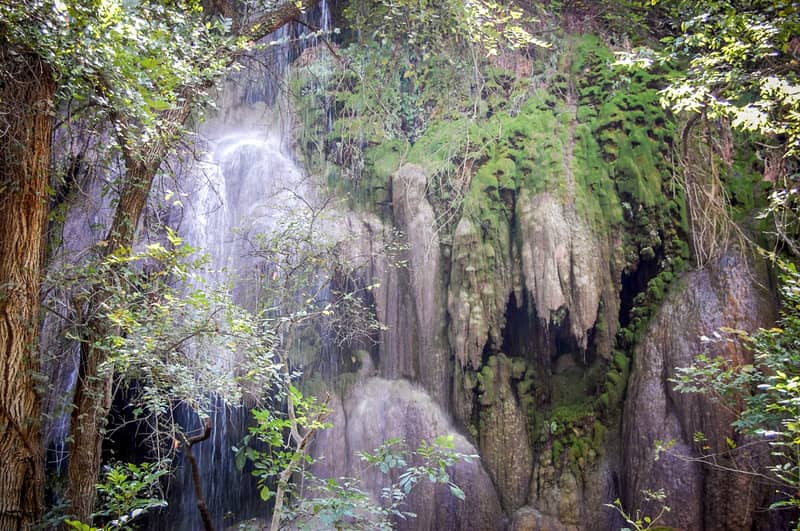 Gorman Falls - Image 2