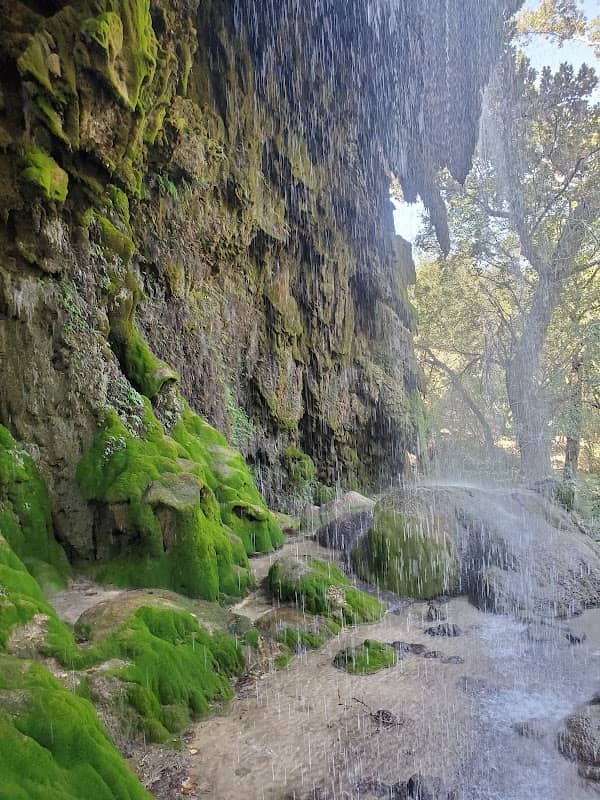 Gorman Falls - Image 3