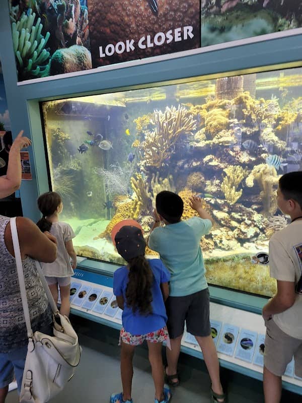 St. Lucie County Aquarium - Image 2